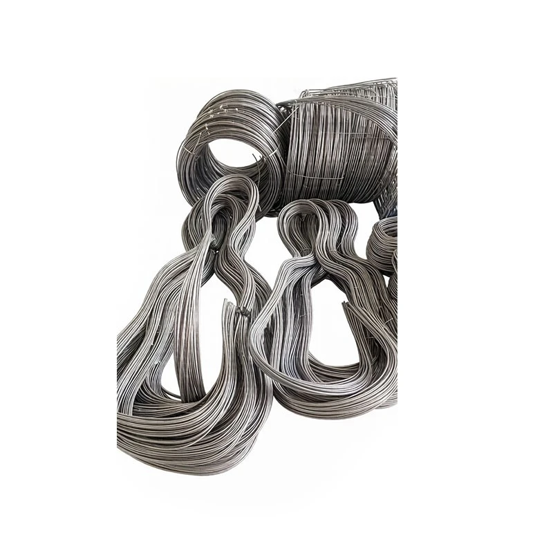 Steel Special Shaped Spring factory